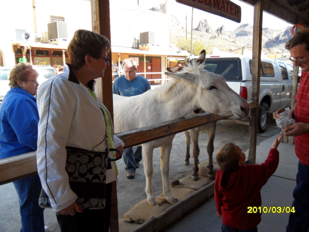 Oatman, Arizona on Route 66